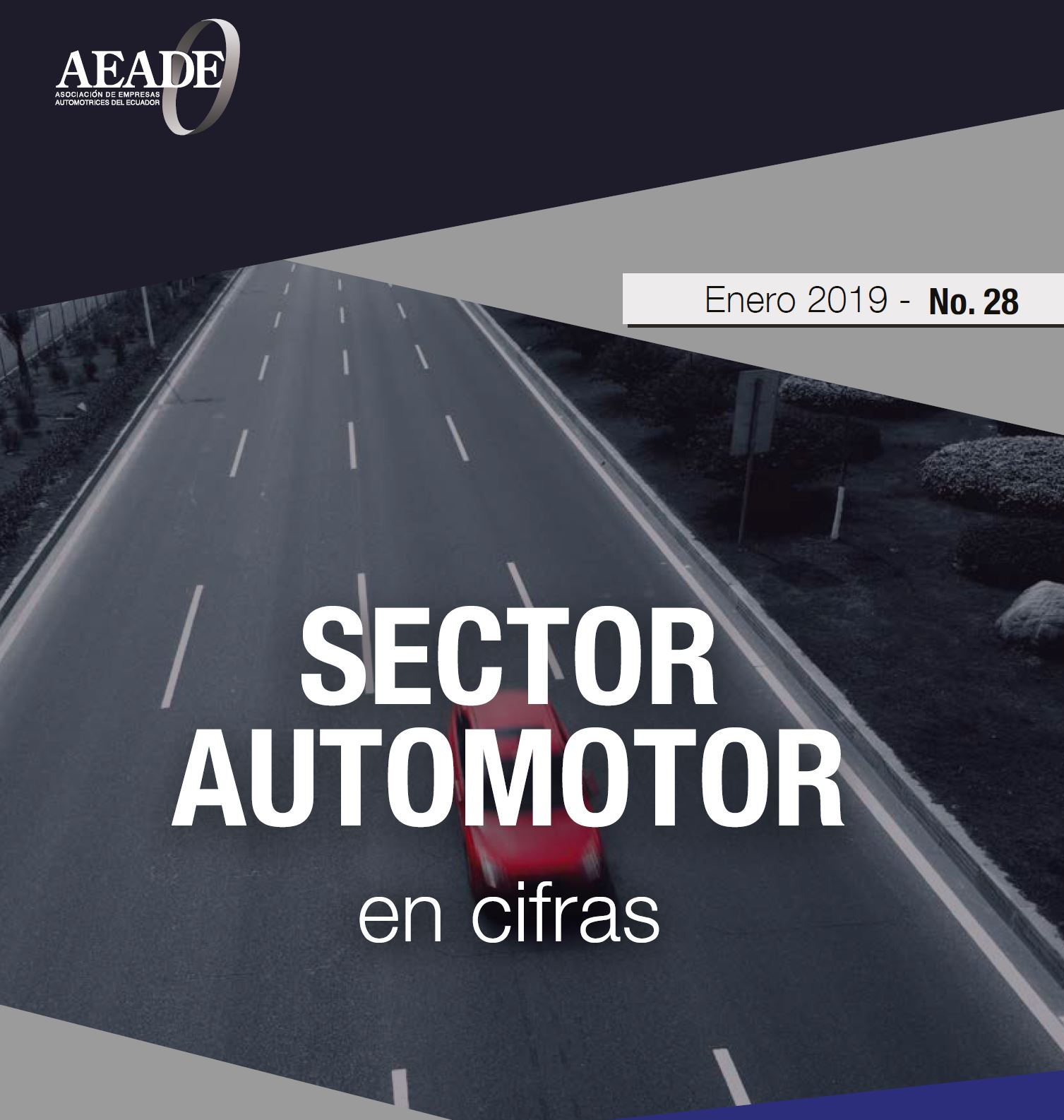 Sector en cifras – Enero 2019