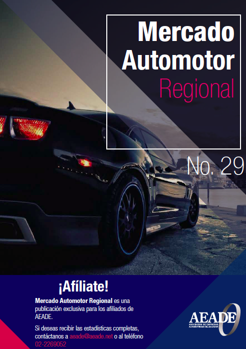 Mercado Automotor Regional – Nº 29